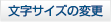 文字サイズの変更